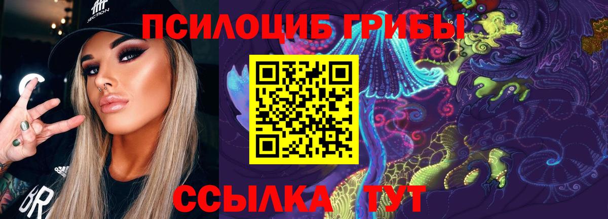 Галлюциногенные грибы мухоморы  Псилоцибиновые грибы Psilocybe  Вход с VPN  Дмитров 