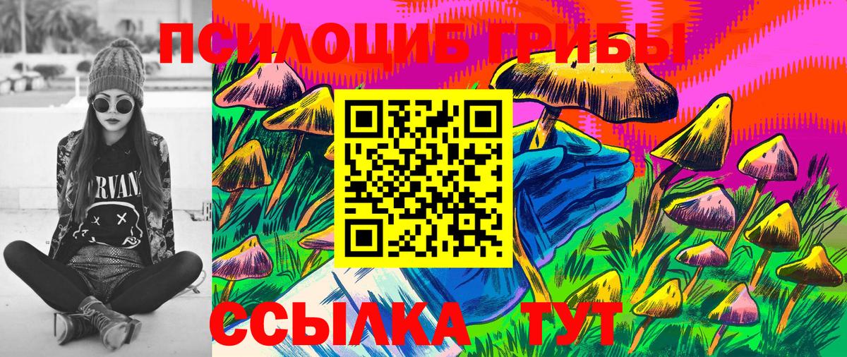 Псилоцибиновые грибы Cubensis Дмитров